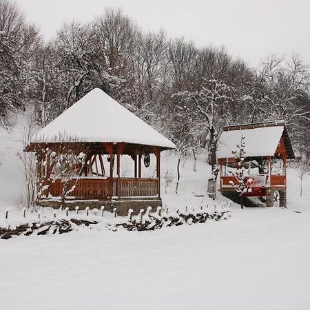 Pensiunea La Gorgan Vadu Izei Exterior photo