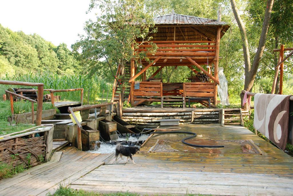 Pensiunea La Gorgan Vadu Izei Exterior photo