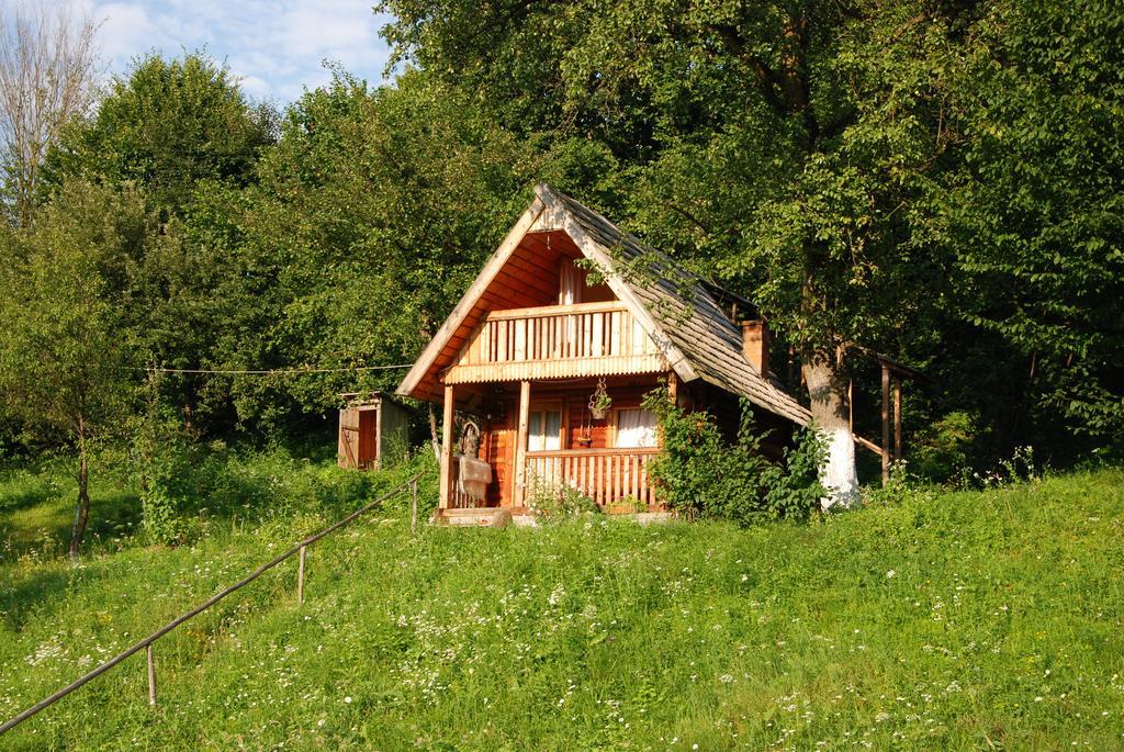 Pensiunea La Gorgan Vadu Izei Exterior photo